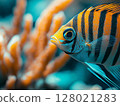 Beautiful aquarium fish swimming gracefully in clear water, close-up, tropical and colorful. 128021283