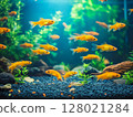Bright tropical aquarium fish swimming among rocks and plants in a vibrant underwater scene. 128021284