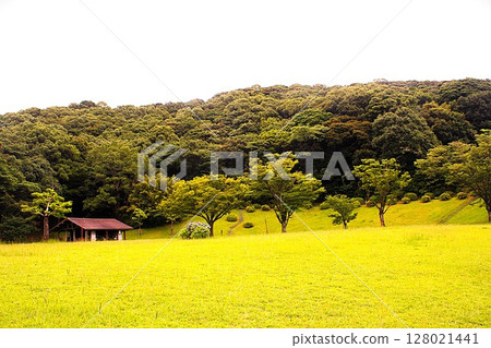 新光灣公園廣場 128021441