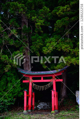 Torii in the forest Torii in the forest 128022258