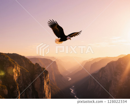Eagle soaring over cliffs Eagle soaring over cliffs 128022334