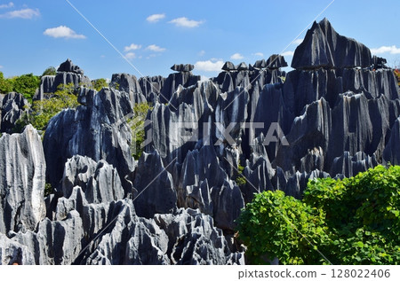 雲南石林風景區的壯麗景色 128022406
