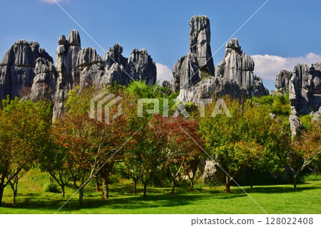 雲南石林風景區的壯麗景色 128022408