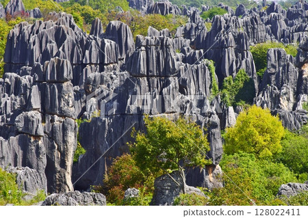 Spectacular views of the Stone Forest Scenic Area in Yunnan Spectacular views of the Stone Forest Scenic Area in Yunnan 128022411