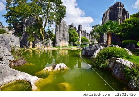 雲南石林風景區的壯麗景色 128022420