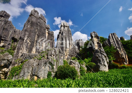 Spectacular views of the Stone Forest Scenic Area in Yunnan Spectacular views of the Stone Forest Scenic Area in Yunnan 128022421