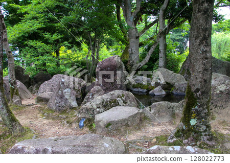 Murasaki公園 Murasaki公園 128022773