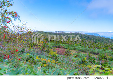 [Mountain material] Tenguhara and sea of clouds in early autumn [Nagano Prefecture] 128022919