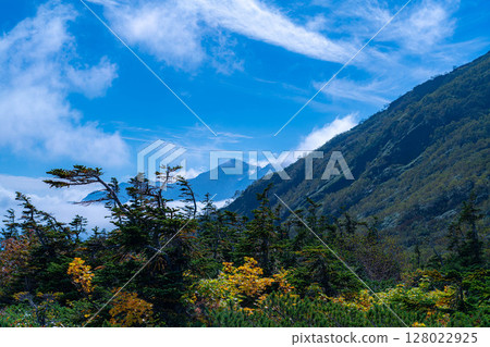 [Mountain material] Tenguhara and sea of clouds in early autumn [Nagano Prefecture] 128022925