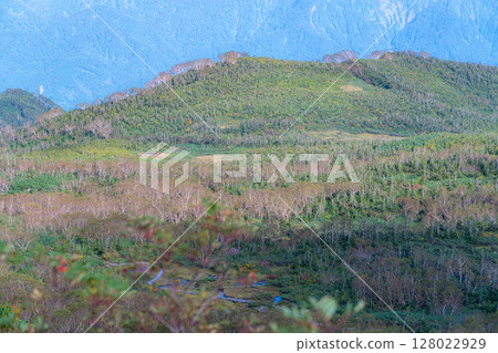 [Mountain material] Tenguhara and sea of clouds in early autumn [Nagano Prefecture] 128022929