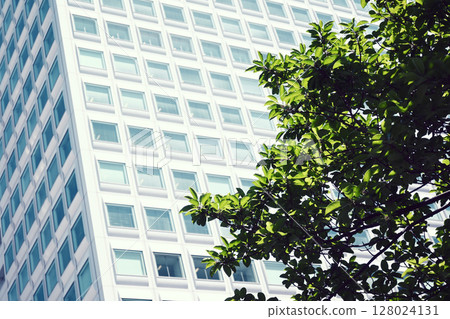 Fresh greenery and the exterior wall of a building 128024131
