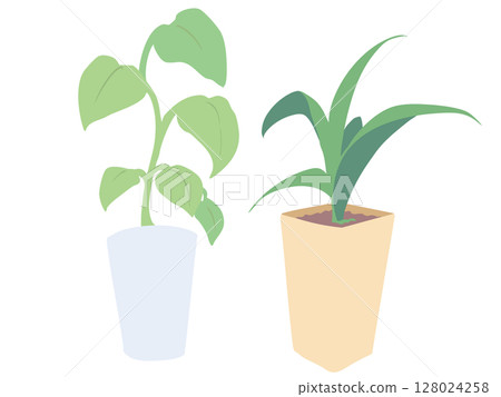 室內植物 沒有主線 室內植物 沒有主線 128024258