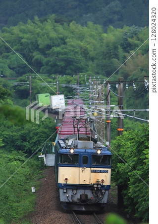 A freight train towed by EF64-1033 runs through the Kisoji road in the rainy season, where fresh greenery is beautiful. Photographed on July 1, 2025 128024320