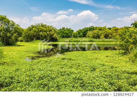 Oohana mizukimbai 128024427