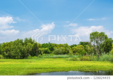 Oohana mizukimbai 128024435