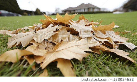 Natural elements closeup beige brown organic textures 128024688