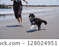 A dog happily running in the sea with its owner 128024951