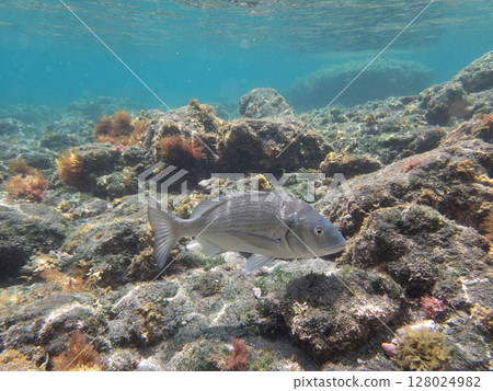 Thailand Thailand 128024982