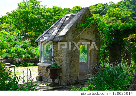 Scenery of ACAO FOREST Scenery of ACAO FOREST 128025014