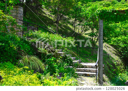 Scenery of ACAO FOREST 128025026