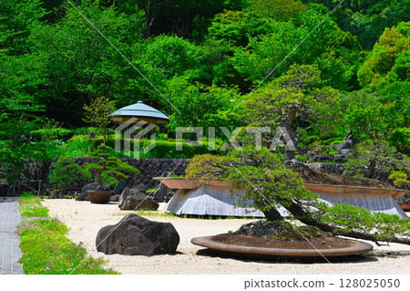 ACAO森林的風景 ACAO森林的風景 128025050
