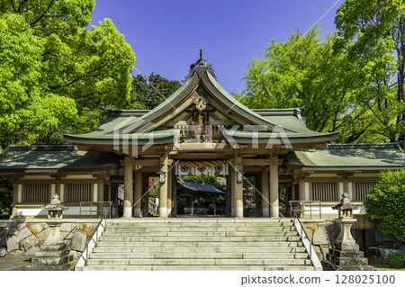 Uwajima Warei Shrine, Shinmon Gate, Uwajima City, Ehime Prefecture Uwajima Warei Shrine, Shinmon Gate, Uwajima City, Ehime Prefecture 128025100