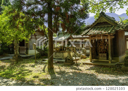 Uwajima Warei Shrine, Shinbasha, Uwajima City, Ehime Prefecture Uwajima Warei Shrine, Shinbasha, Uwajima City, Ehime Prefecture 128025103