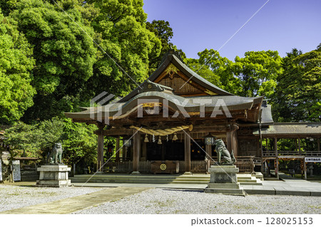 愛媛縣宇和島市宇和島和靈神社的拜殿 128025153