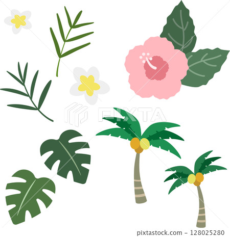 Tropical plant illustration material set 128025280