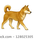 Illustration of a Shiba Inu walking forward 128025305