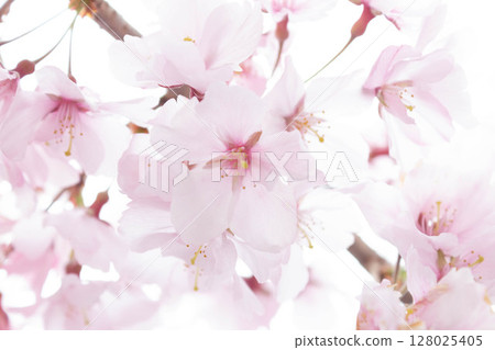 Small cheat beach Small cheat beach 128025405