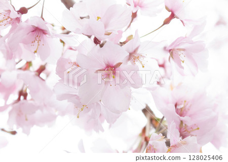 Small cheat beach 128025406