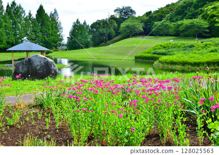Nishikata Fureai Park Waterfront Nishikata General Park Tochigi City 128025563