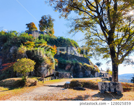 苗木城跡（秋季） 128025859