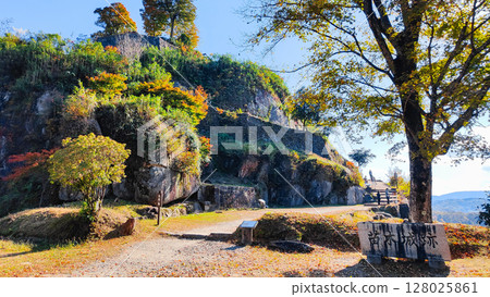 苗木城跡（秋季） 128025861