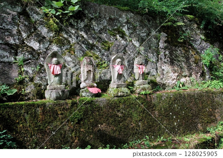 親愛的大分先生 親愛的大分先生 128025905