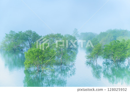 Lake Kinshu, Iwate: Submerged forest shrouded in morning mist 128025932