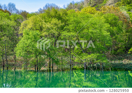Submerged forests of the Waga River in Iwate 128025950