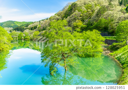 Submerged forests of the Waga River in Iwate Submerged forests of the Waga River in Iwate 128025951