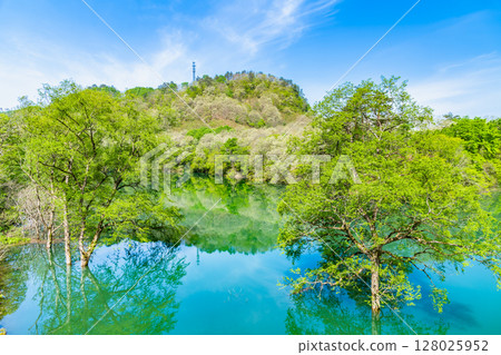 Submerged forests of the Waga River in Iwate Submerged forests of the Waga River in Iwate 128025952