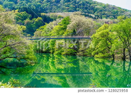 Submerged forests of the Waga River in Iwate Submerged forests of the Waga River in Iwate 128025958