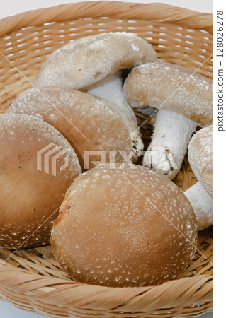 Haruki Shiitake Haruki Shiitake 128026278