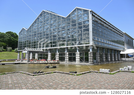 Green House 128027116