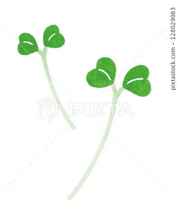 綠花椰菜芽、蘿蔔芽、雙葉插畫 綠花椰菜芽、蘿蔔芽、雙葉插畫 128029063