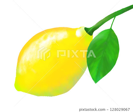 Lemon with branches 128029067