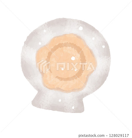 Scallops, scallop shells, scallops with shells, illustration Scallops, scallop shells, scallops with shells, illustration 128029117