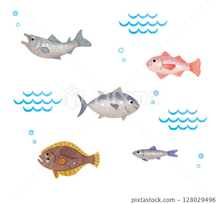 Fish illustration set: tuna, salmon, blackthroat, flounder, sardine Fish illustration set: tuna, salmon, blackthroat, flounder, sardine 128029496
