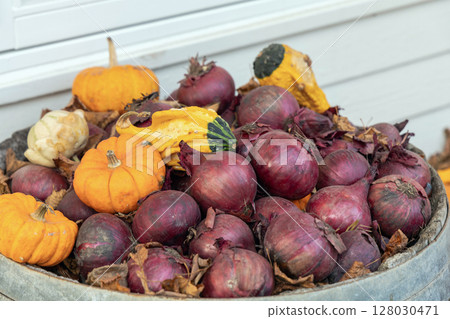 A bunch of red onions and small decorative pumpkins 128030471