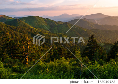 志賀草津之路的夜景 志賀草津之路的夜景 128030528