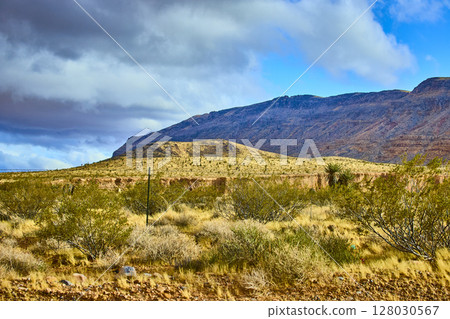 Desert Mountains and Cacti in Red Rock Canyon Eye-Level View Desert Mountains and Cacti in Red Rock Canyon Eye-Level View 128030567